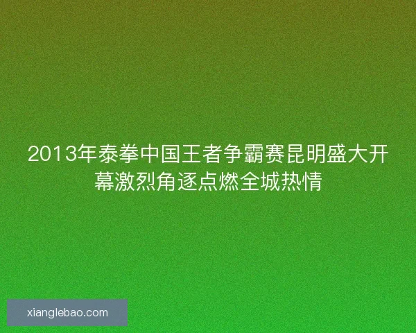 2013年泰拳中国王者争霸赛昆明盛大开幕激烈角逐点燃全城热情