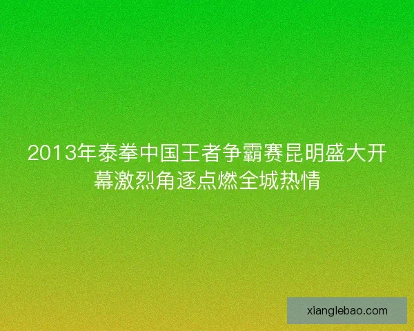 2013年泰拳中国王者争霸赛昆明盛大开幕激烈角逐点燃全城热情 2013年泰拳中国王者争霸赛昆明盛大开幕激烈角逐点燃全城热情