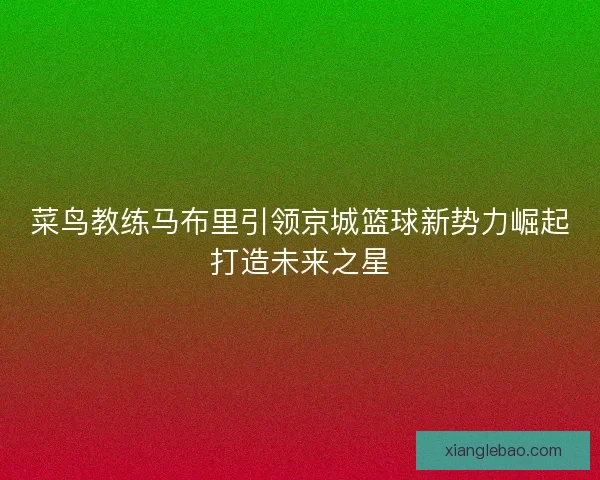 菜鸟教练马布里引领京城篮球新势力崛起打造未来之星