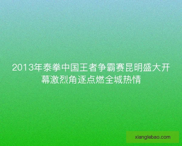 2013年泰拳中国王者争霸赛昆明盛大开幕激烈角逐点燃全城热情